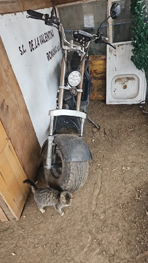 Vând scuter electric Harley de reparat  - imagine 4