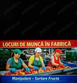 Angajam personal.la banda in Austria 