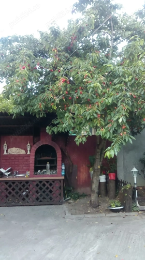 Vând casă în Deva sau schimb cu apartament sau garsoniera+diferența  - imagine 5