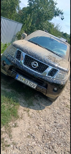 Nisan Pathfinder - imagine 2