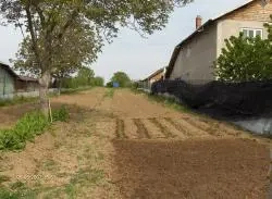 Teren intravilan Peris - 2500mp