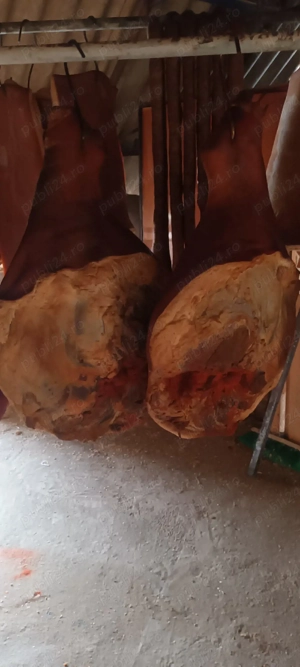 Clisă afumată +cârnați + șuncă