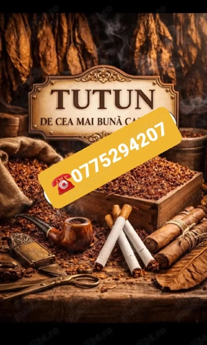 Tutun Tocat și Firicel