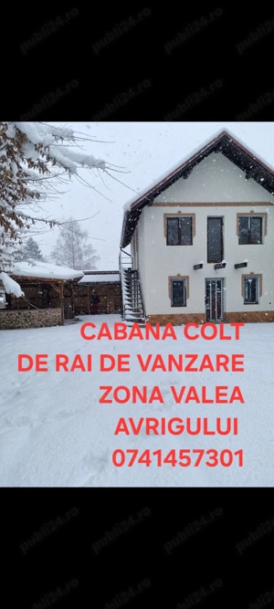 Casa de vacanta de vanzare Valea Avrigului - imagine 8