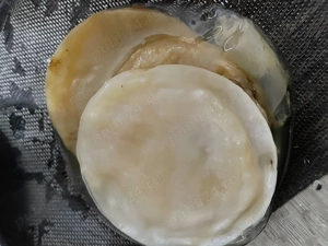 Kombucha de  vânzare (1scoby)