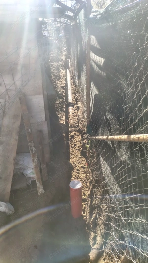 construcții de la 0 și pavaje  - imagine 2