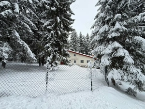 Casa vacanta Dealu Negru Călățele Pădure