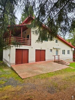 Casa vacanta Dealu Negru Călățele Pădure - imagine 5