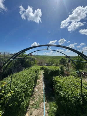 Casa de vanzare  - imagine 3