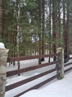 Casa vacanta Dealu Negru Călățele Pădure - imagine 6