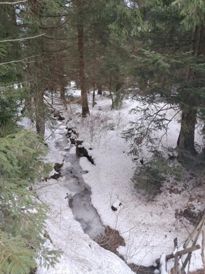 Casa vacanta Dealu Negru Călățele Pădure - imagine 8