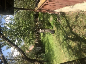 Casa batraneasca de vanzare in satul Martanus, Jud. Covasna - imagine 3