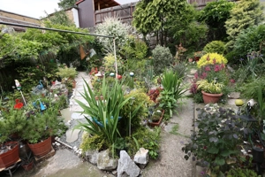 proprietar,vand casa in resita zona muncitoresc - imagine 2