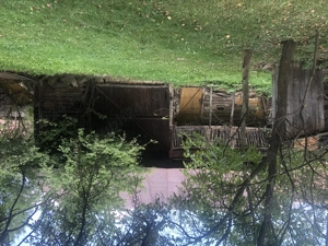 Casa batraneasca de vanzare in satul Martanus, Jud. Covasna - imagine 8