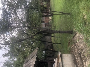 Casa batraneasca de vanzare in satul Martanus, Jud. Covasna - imagine 6