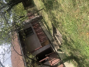 Casa batraneasca de vanzare in satul Martanus, Jud. Covasna - imagine 2