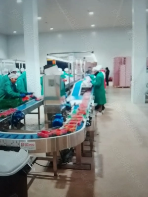 Angajam urgent cupluri in  Austria 