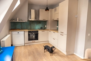 Apartament cu 3 camere în Cluj-Napoca, pet friendly, parcare inclusă, zona Leroy Merlin (Europa) - imagine 2