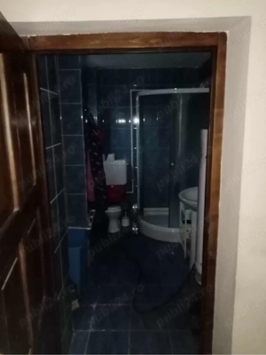 Casă complet renovată și utilată   Vărzarii de Jos (2 km de Vașcău) + Teren agricol inclus - imagine 8