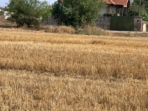 teren intravilan, Poiana, Ovidiu- Constanta  - imagine 4