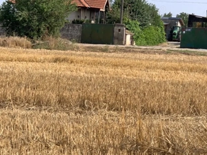 teren intravilan, Poiana, Ovidiu- Constanta  - imagine 5