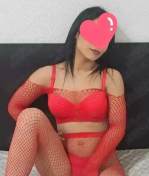 New Cantemir fac si depl 