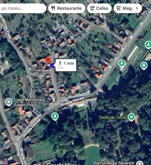 Proprietate de vanzare: Casa cu gradina in loc. Savarsin, jud. Arad