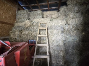 baloti lucerna  - imagine 2