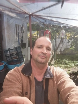 Vând Vin roșu ananas 1lit 8on Preț de bun simt,de Toate buzunarele.prod. proprie