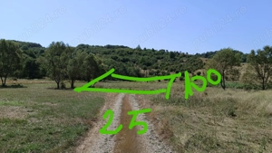 8 Eur mp Ocnele Mari Slătioare 2500 mp  - imagine 5