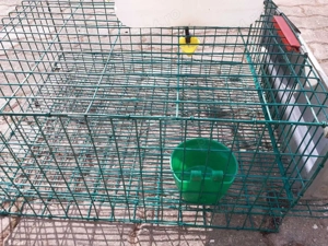 Cusca prepelite cu accesorii - imagine 3