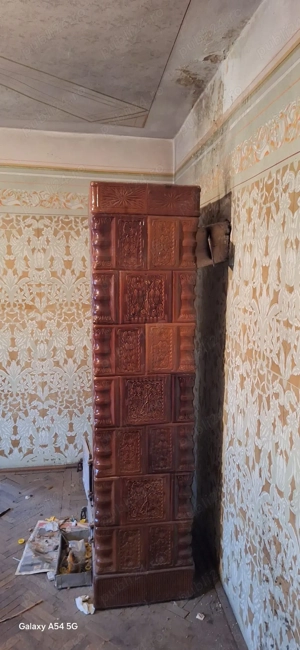 de vinzare - imagine 2