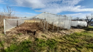 Gradina de inchiriat 