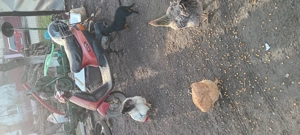 Vind scuter pe benzina  - imagine 3