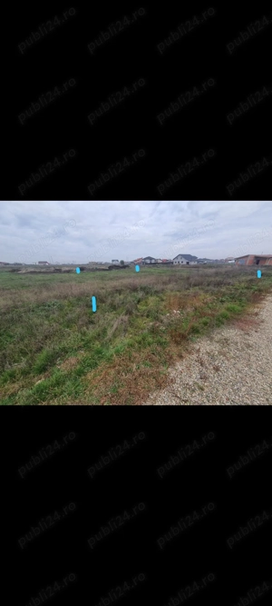 Teren 650 mp Sacalaz de vânzare 