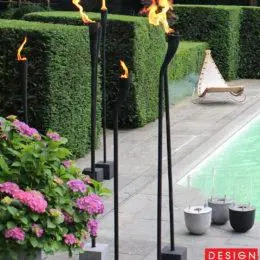 Vand Torta Jive Model Franta