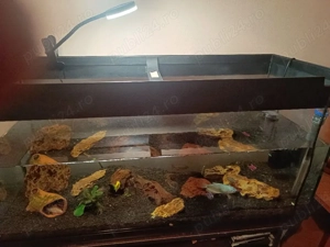 Acvariu pentru pesti - imagine 3