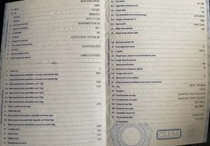  Atorulota MERCEDES VITO 113CDI autovehicul special M1 - imagine 6