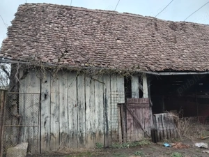 sura lemn 25 metri lungime - imagine 8