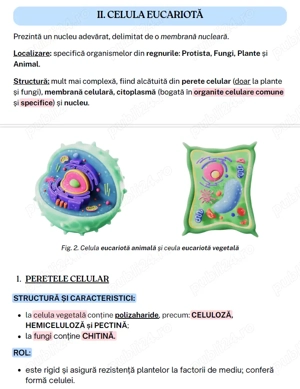 Reiei BAC-ul la Biologie sau vrei nota 10? Hai să lucrăm împreună!