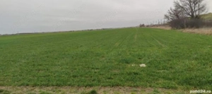 Vand Teren Extravilan in Sag