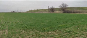 Vand Teren Extravilan in Sag - imagine 4