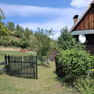 Casa batraneasca de vanzare, Vidra, jud Alba