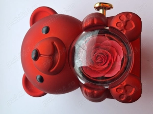 Ursulet cu trandafir si bratara aur 14K