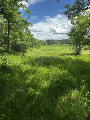 Casă bătrânească de vânzare Melinești județul Dolj  - imagine 4