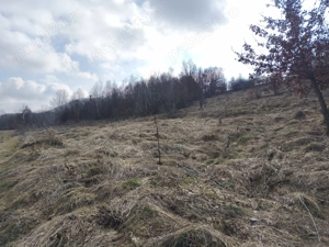 Teren de vânzare în răzoare  - imagine 17