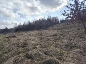 Teren de vânzare în răzoare  - imagine 15