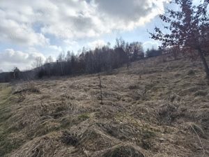 Teren de vânzare în răzoare  - imagine 13