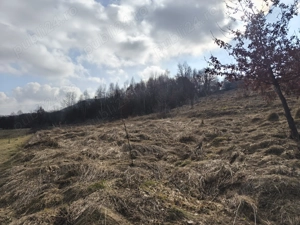 Teren de vânzare în răzoare  - imagine 11