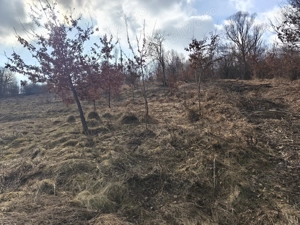 Teren de vânzare în răzoare  - imagine 20